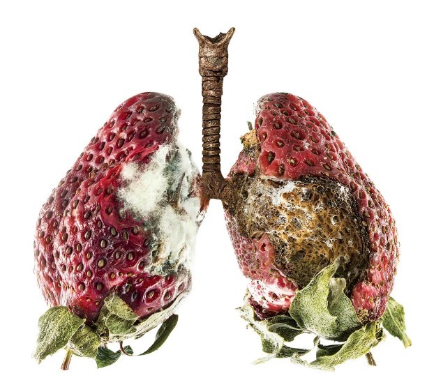 Stawberry flavoured emphysema (Hard to ignore, isn't it)